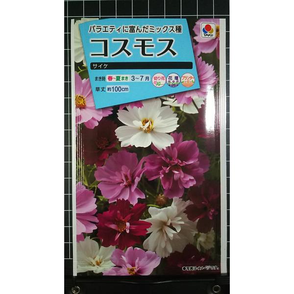 合計350円以下でのご注文は、申し訳ありませんがお受けできなくなっております。在庫切れ防止のため、実際の在庫数より販売可能数を少なく設定しております。まとまった数量をご希望の場合は、お問い合わせください。いろいろな品種を、よりどり３袋以上で...