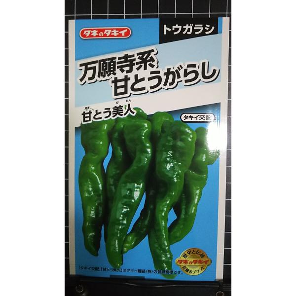 合計350円以下でのご注文は、申し訳ありませんがお受けできなくなっております。在庫切れ防止のため、実際の在庫数より販売可能数を少なく設定しております。まとまった数量をご希望の場合は、お問い合わせください。いろいろな品種を、よりどり３袋以上で...