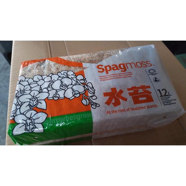 水苔 約150g 送料無料 ニュージーランド産