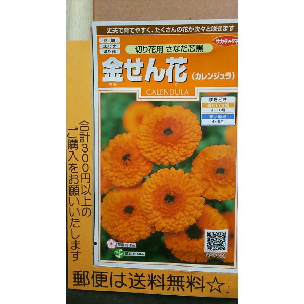 切り花 種の人気商品 通販 価格比較 価格 Com