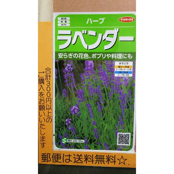 ラベンダー ポプリ Diy 工具の人気商品 通販 価格比較 価格 Com