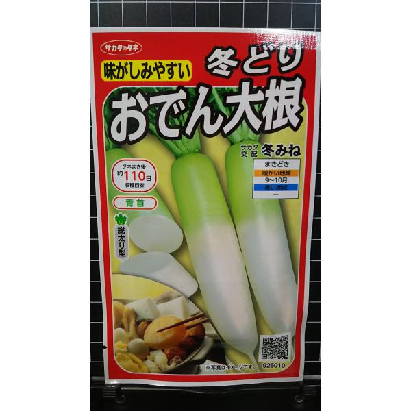 合計350円以下でのご注文は、申し訳ありませんがお受けできなくなっております。在庫切れ防止のため、実際の在庫数より販売可能数を少なく設定しております。まとまった数量をご希望の場合は、お問い合わせください。いろいろな品種を、よりどり３袋以上で...