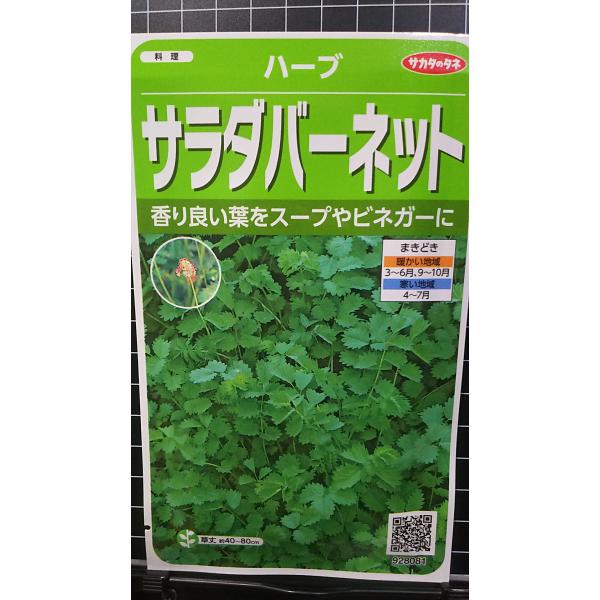 合計350円以下でのご注文は、申し訳ありませんがお受けできなくなっております。在庫切れ防止のため、実際の在庫数より販売可能数を少なく設定しております。まとまった数量をご希望の場合は、お問い合わせください。いろいろな品種を、よりどり３袋以上で...