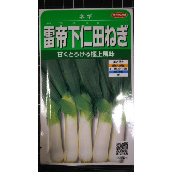 ３袋以上でクーポン割引 雷帝 下仁田 ねぎ シモニタ ネギ 種 郵便は送料無料