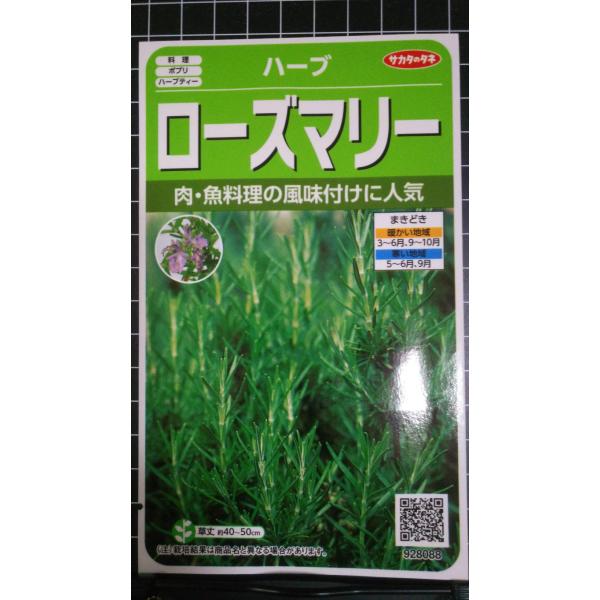 ３袋以上でクーポン割引 ローズマリー マンネンロウ ハーブ 種 郵便は送料無料