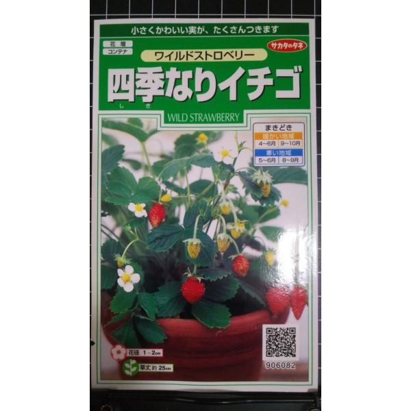 ３袋以上でクーポン割引 ワイルドストロベリー 四季なり イチゴ 種 郵便は送料無料