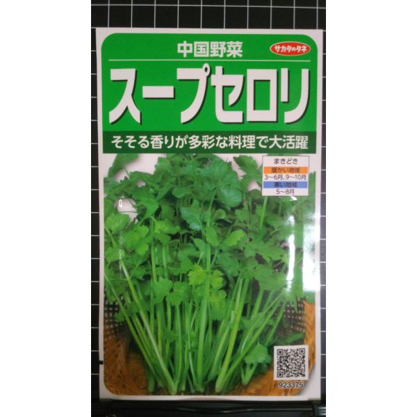 ３袋以上でクーポン割引 スープ セロリ セルリ オランダ ミツバ 中国野菜 種 郵便は送料無料