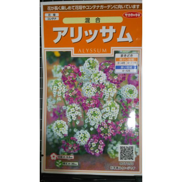 ３袋以上でクーポン割引 アリッサム 混合 種 郵便は送料無料