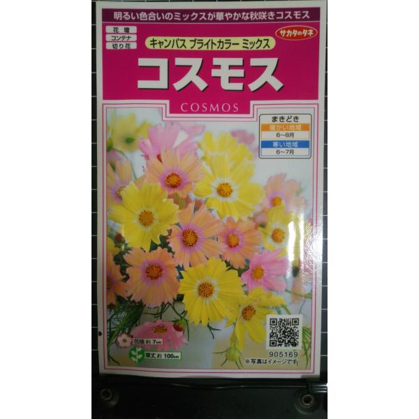 ３袋以上でクーポン割引 コスモス キャンパスブライト ミックス 秋桜 種 郵便は送料無料