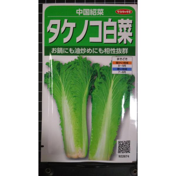 ３袋以上でクーポン割引 たけのこ 白菜 中国 紹菜 タケノコ 種 郵便は送料無料