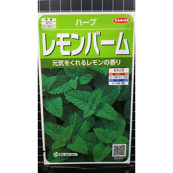 他サイト： ３袋以上でクーポン割引 レモンバーム セイヨウヤマハッカ レモンバウム ハーブ 種 郵便は送料無料の商品画像