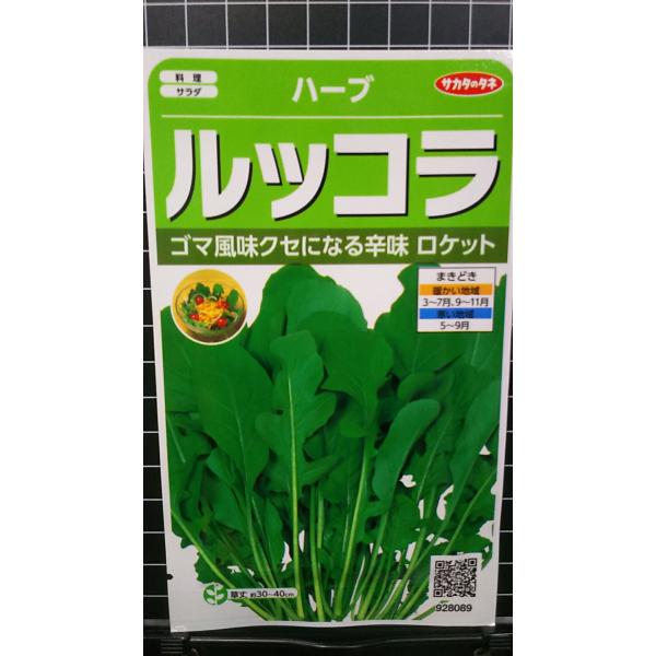 他サイト： ３袋以上でクーポン割引 ルッコラ ロケット ゴマ 風味 ハーブ 種 郵便は送料無料の商品画像