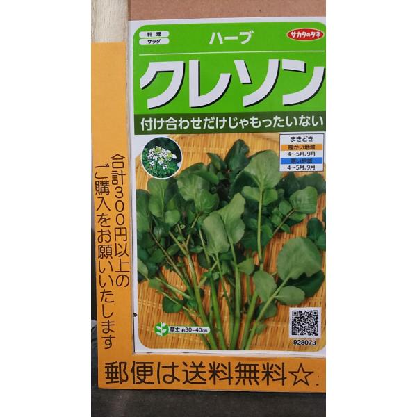 クレソン 種の人気商品 通販 価格比較 価格 Com