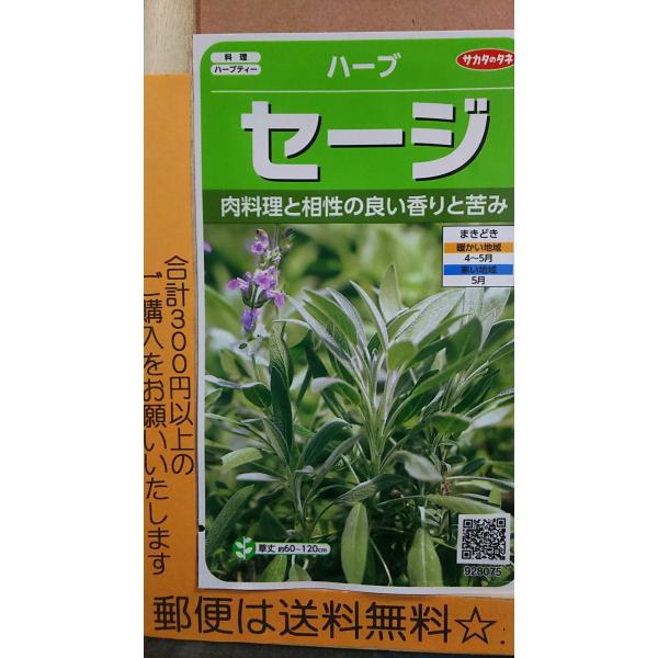 セージ 種の人気商品 通販 価格比較 価格 Com