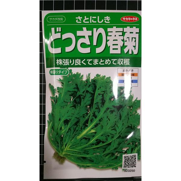 合計350円以下でのご注文は、申し訳ありませんがお受けできなくなっております。在庫切れ防止のため、実際の在庫数より販売可能数を少なく設定しております。まとまった数量をご希望の場合は、お問い合わせください。いろいろな品種を、よりどり３袋以上で...
