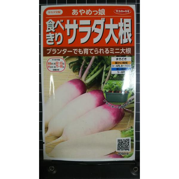 合計350円以下でのご注文は、申し訳ありませんがお受けできなくなっております。在庫切れ防止のため、実際の在庫数より販売可能数を少なく設定しております。まとまった数量をご希望の場合は、お問い合わせください。いろいろな品種を、よりどり３袋以上で...