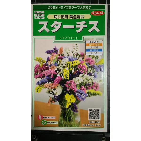 合計350円以下でのご注文は、申し訳ありませんがお受けできなくなっております。在庫切れ防止のため、実際の在庫数より販売可能数を少なく設定しております。まとまった数量をご希望の場合は、お問い合わせください。いろいろな品種を、よりどり３袋以上で...