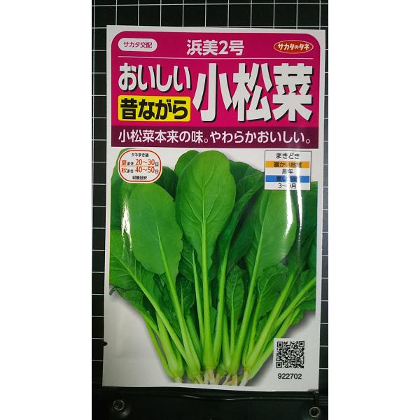 他サイト： ３袋以上でクーポン割引 小松菜 おいしい 昔ながら 浜美2号 コマツナ 種 郵便は送料無料の商品画像