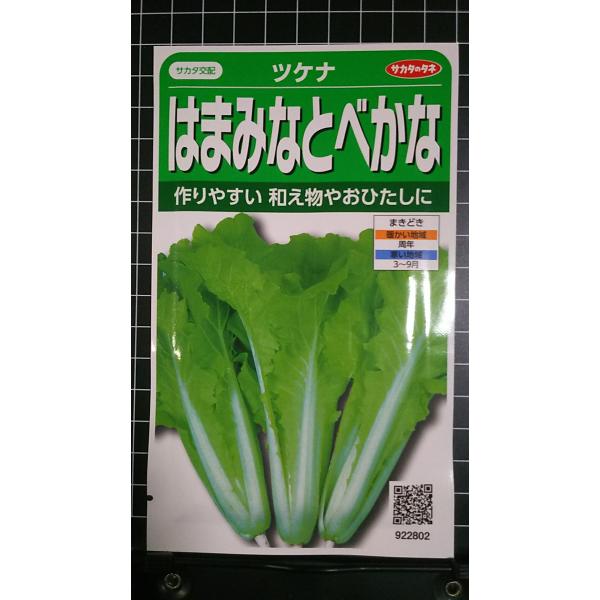 合計350円以下でのご注文は、申し訳ありませんがお受けできなくなっております。在庫切れ防止のため、実際の在庫数より販売可能数を少なく設定しております。まとまった数量をご希望の場合は、お問い合わせください。いろいろな品種を、よりどり３袋以上で...