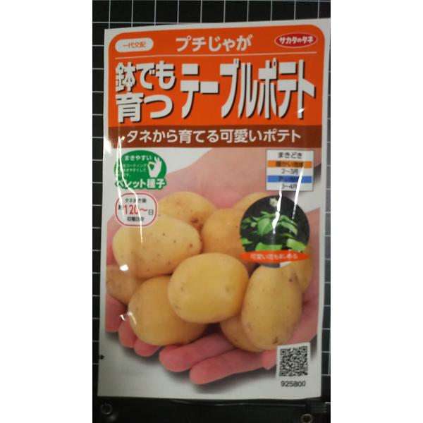 合計350円以下でのご注文は、申し訳ありませんがお受けできなくなっております。在庫切れ防止のため、実際の在庫数より販売可能数を少なく設定しております。まとまった数量をご希望の場合は、お問い合わせください。いろいろな品種を、よりどり３袋以上で...