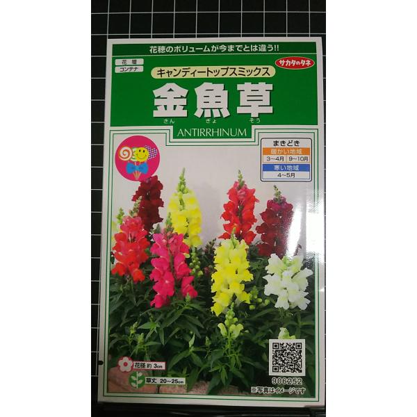 合計350円以下でのご注文は、申し訳ありませんがお受けできなくなっております。在庫切れ防止のため、実際の在庫数より販売可能数を少なく設定しております。まとまった数量をご希望の場合は、お問い合わせください。いろいろな品種を、よりどり３袋以上で...