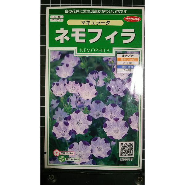 合計350円以下でのご注文は、申し訳ありませんがお受けできなくなっております。在庫切れ防止のため、実際の在庫数より販売可能数を少なく設定しております。まとまった数量をご希望の場合は、お問い合わせください。いろいろな品種を、よりどり３袋以上で...