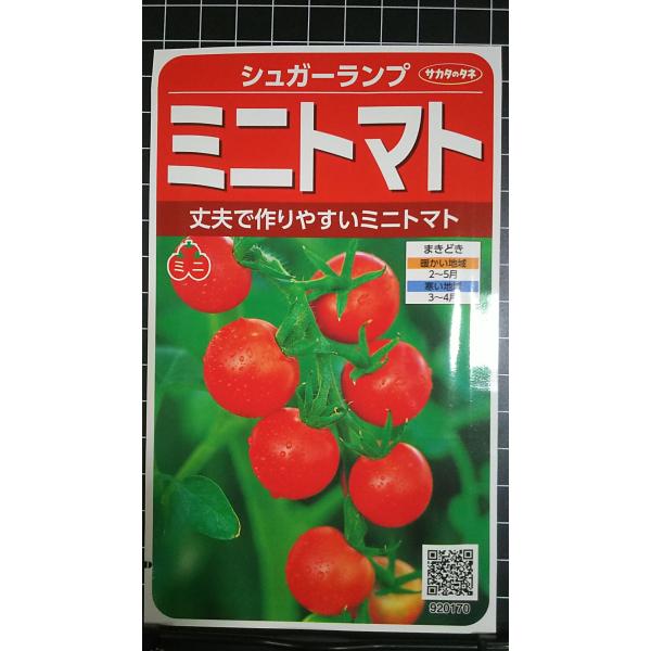 合計350円以下でのご注文は、申し訳ありませんがお受けできなくなっております。在庫切れ防止のため、実際の在庫数より販売可能数を少なく設定しております。まとまった数量をご希望の場合は、お問い合わせください。いろいろな品種を、よりどり３袋以上で...