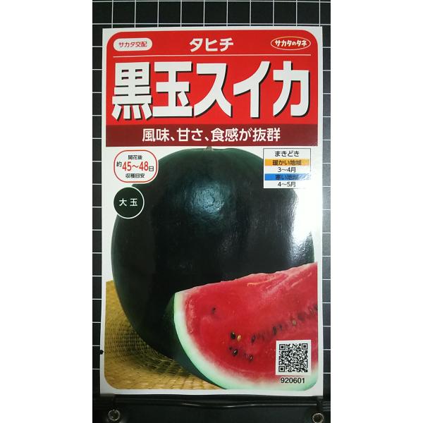 合計350円以下でのご注文は、申し訳ありませんがお受けできなくなっております。在庫切れ防止のため、実際の在庫数より販売可能数を少なく設定しております。まとまった数量をご希望の場合は、お問い合わせください。いろいろな品種を、よりどり３袋以上で...