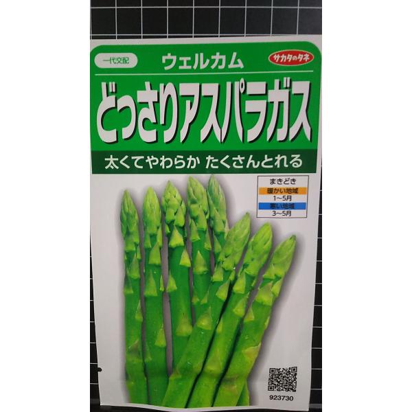 合計350円以下でのご注文は、申し訳ありませんがお受けできなくなっております。在庫切れ防止のため、実際の在庫数より販売可能数を少なく設定しております。まとまった数量をご希望の場合は、お問い合わせください。いろいろな品種を、よりどり３袋以上で...