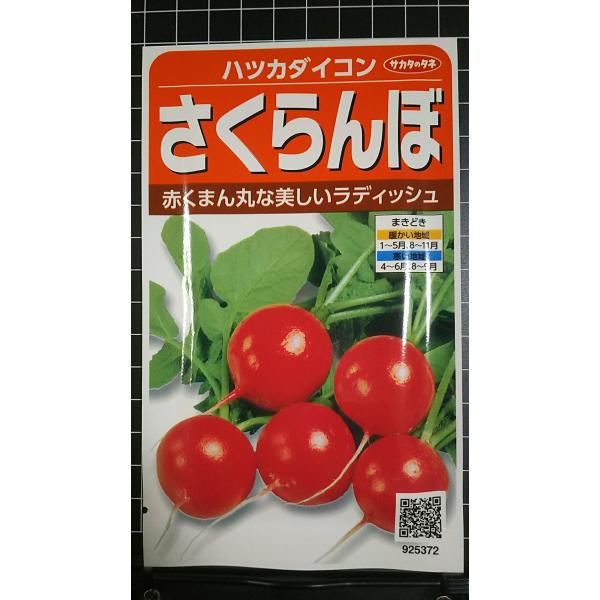 合計350円以下でのご注文は、申し訳ありませんがお受けできなくなっております。在庫切れ防止のため、実際の在庫数より販売可能数を少なく設定しております。まとまった数量をご希望の場合は、お問い合わせください。いろいろな品種を、よりどり３袋以上で...