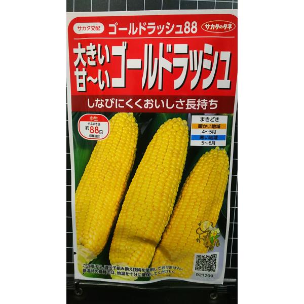 合計350円以下でのご注文は、申し訳ありませんがお受けできなくなっております。在庫切れ防止のため、実際の在庫数より販売可能数を少なく設定しております。まとまった数量をご希望の場合は、お問い合わせください。いろいろな品種を、よりどり３袋以上で...