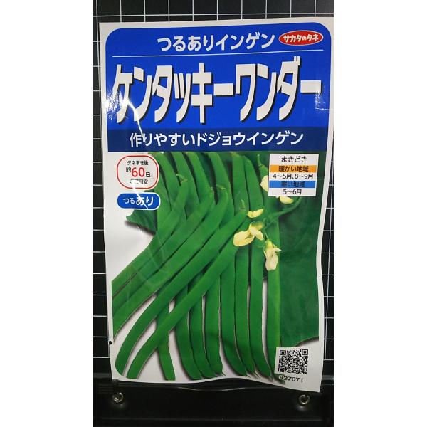 合計350円以下でのご注文は、申し訳ありませんがお受けできなくなっております。在庫切れ防止のため、実際の在庫数より販売可能数を少なく設定しております。まとまった数量をご希望の場合は、お問い合わせください。いろいろな品種を、よりどり３袋以上で...