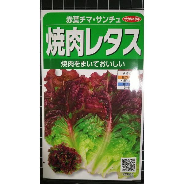 合計350円以下でのご注文は、申し訳ありませんがお受けできなくなっております。在庫切れ防止のため、実際の在庫数より販売可能数を少なく設定しております。まとまった数量をご希望の場合は、お問い合わせください。いろいろな品種を、よりどり３袋以上で...