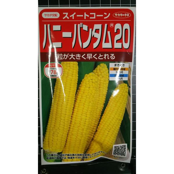 合計350円以下でのご注文は、申し訳ありませんがお受けできなくなっております。在庫切れ防止のため、実際の在庫数より販売可能数を少なく設定しております。まとまった数量をご希望の場合は、お問い合わせください。いろいろな品種を、よりどり３袋以上で...