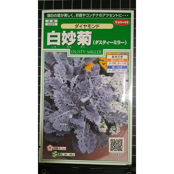合計350円以下でのご注文は、申し訳ありませんがお受けできなくなっております。在庫切れ防止のため、実際の在庫数より販売可能数を少なく設定しております。まとまった数量をご希望の場合は、お問い合わせください。いろいろな品種を、よりどり３袋以上で...