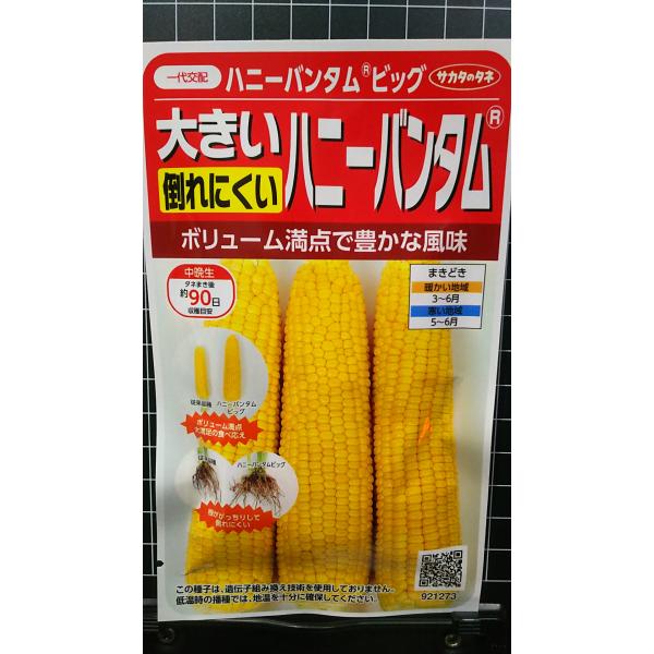 合計350円以下でのご注文は、申し訳ありませんがお受けできなくなっております。在庫切れ防止のため、実際の在庫数より販売可能数を少なく設定しております。まとまった数量をご希望の場合は、お問い合わせください。いろいろな品種を、よりどり３袋以上で...