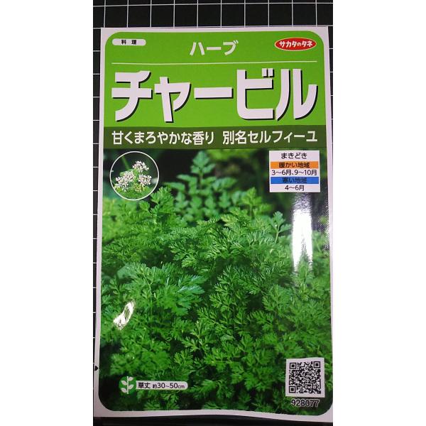 合計350円以下でのご注文は、申し訳ありませんがお受けできなくなっております。在庫切れ防止のため、実際の在庫数より販売可能数を少なく設定しております。まとまった数量をご希望の場合は、お問い合わせください。いろいろな品種を、よりどり３袋以上で...