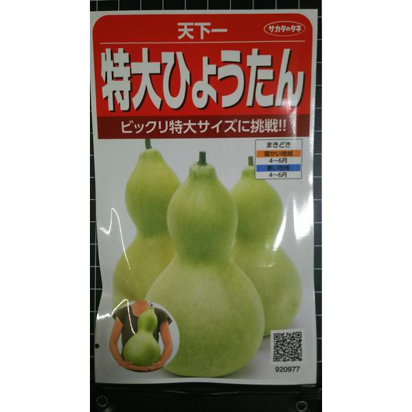 最低注文金額：合計350円以上から承ります。まとまった数量をご希望の場合、他モールの在庫を確認し、在庫数を移行できる場合がございます。お気軽にお問い合わせください。いろいろな品種を3袋以上お買い上げで、割引クーポンがご利用いただけます！必ず...