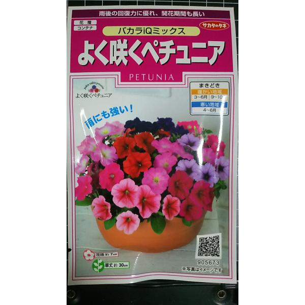 合計350円以下でのご注文は、申し訳ありませんがお受けできなくなっております。在庫切れ防止のため、実際の在庫数より販売可能数を少なく設定しております。まとまった数量をご希望の場合は、お問い合わせください。いろいろな品種を、よりどり３袋以上で...