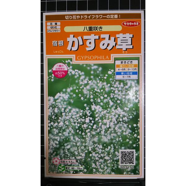 合計350円以下でのご注文は、申し訳ありませんがお受けできなくなっております。在庫切れ防止のため、実際の在庫数より販売可能数を少なく設定しております。まとまった数量をご希望の場合は、お問い合わせください。いろいろな品種を、よりどり３袋以上で...