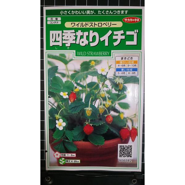 合計350円以下でのご注文は、申し訳ありませんがお受けできなくなっております。いろいろな品種を、よりどり３袋以上で、割引クーポンがご利用可能です。各種クーポンをご利用の方は、クーポン獲得→クーポン適用のご確認をお願いいたします。ご注文確定後...