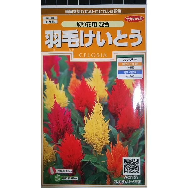 合計350円以下でのご注文は、申し訳ありませんがお受けできなくなっております。在庫切れ防止のため、実際の在庫数より販売可能数を少なく設定しております。まとまった数量をご希望の場合は、お問い合わせください。いろいろな品種を、よりどり３袋以上で...