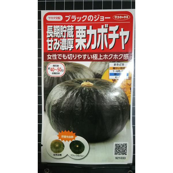 合計350円以下でのご注文は、申し訳ありませんがお受けできなくなっております。在庫切れ防止のため、実際の在庫数より販売可能数を少なく設定しております。まとまった数量をご希望の場合は、お問い合わせください。いろいろな品種を、よりどり３袋以上で...