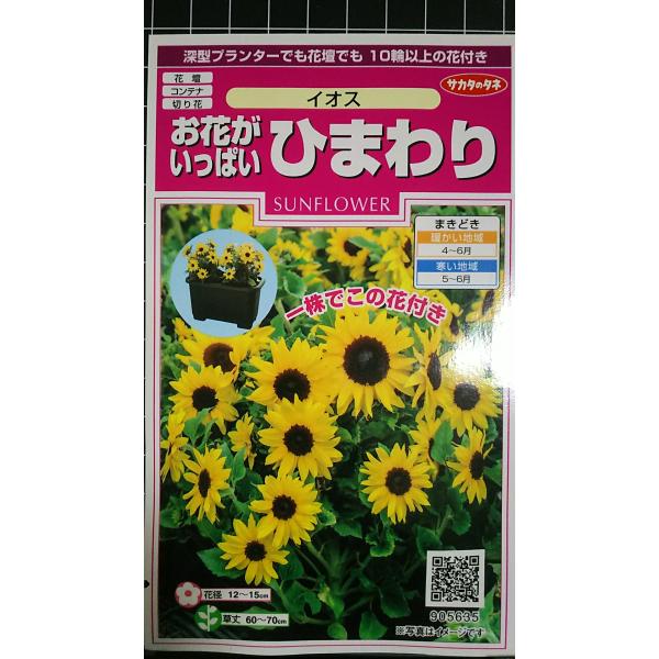 合計350円以下でのご注文は、申し訳ありませんがお受けできなくなっております。在庫切れ防止のため、実際の在庫数より販売可能数を少なく設定しております。まとまった数量をご希望の場合は、お問い合わせください。いろいろな品種を、よりどり３袋以上で...