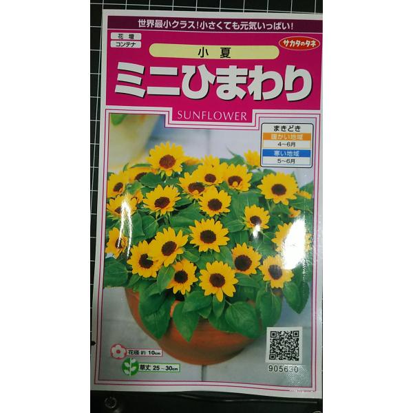 合計350円以下でのご注文は、申し訳ありませんがお受けできなくなっております。在庫切れ防止のため、実際の在庫数より販売可能数を少なく設定しております。まとまった数量をご希望の場合は、お問い合わせください。いろいろな品種を、よりどり３袋以上で...