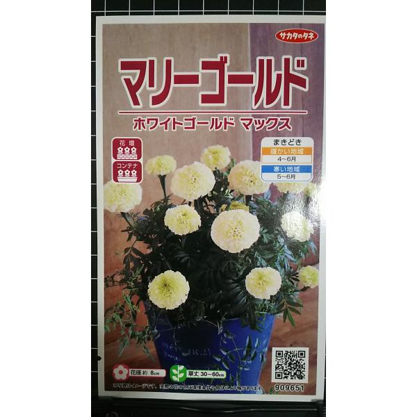合計350円以下でのご注文は、申し訳ありませんがお受けできなくなっております。在庫切れ防止のため、実際の在庫数より販売可能数を少なく設定しております。まとまった数量をご希望の場合は、お問い合わせください。いろいろな品種を、よりどり３袋以上で...