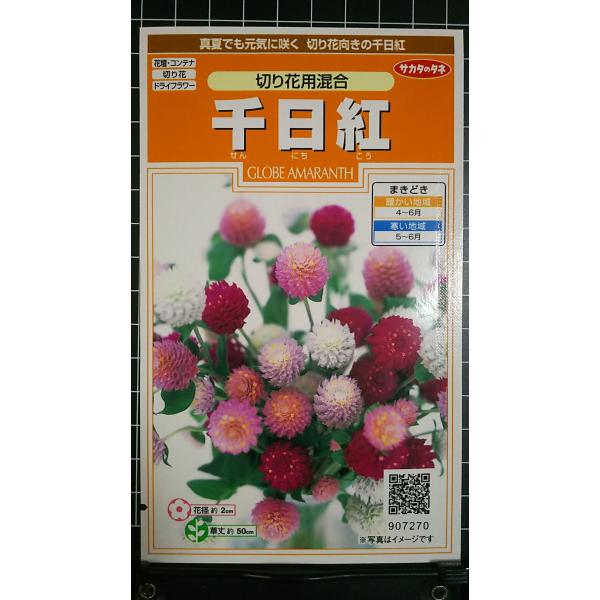 合計350円以下でのご注文は、申し訳ありませんがお受けできなくなっております。在庫切れ防止のため、実際の在庫数より販売可能数を少なく設定しております。まとまった数量をご希望の場合は、お問い合わせください。いろいろな品種を、よりどり３袋以上で...