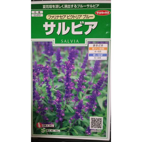 合計350円以下でのご注文は、申し訳ありませんがお受けできなくなっております。在庫切れ防止のため、実際の在庫数より販売可能数を少なく設定しております。まとまった数量をご希望の場合は、お問い合わせください。いろいろな品種を、よりどり３袋以上で...