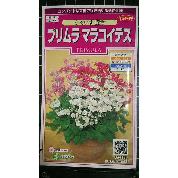 合計350円以下でのご注文は、申し訳ありませんがお受けできなくなっております。在庫切れ防止のため、実際の在庫数より販売可能数を少なく設定しております。まとまった数量をご希望の場合は、お問い合わせください。いろいろな品種を、よりどり３袋以上で...