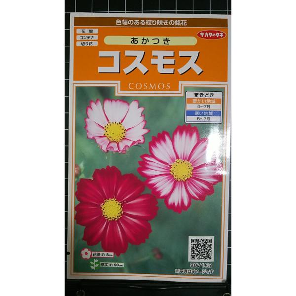 合計350円以下でのご注文は、申し訳ありませんがお受けできなくなっております。在庫切れ防止のため、実際の在庫数より販売可能数を少なく設定しております。まとまった数量をご希望の場合は、お問い合わせください。いろいろな品種を、よりどり３袋以上で...